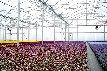 11 umutbileti SİSTEMLERİ