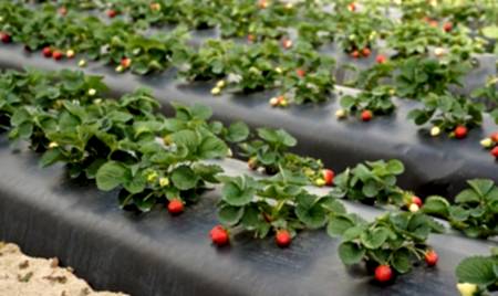 9 umutbileti SİSTEMLERİ