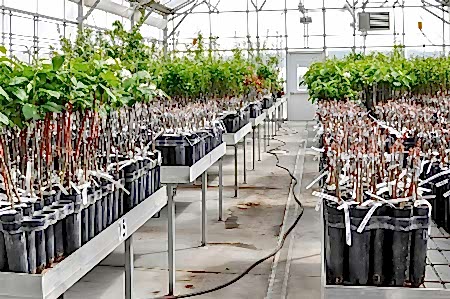 12 umutbileti SİSTEMLERİ