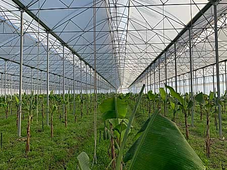 7 umutbileti SİSTEMLERİ