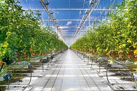 6 umutbileti SİSTEMLERİ