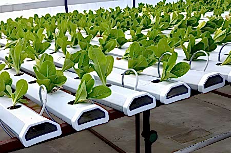 14 umutbileti SİSTEMLERİ