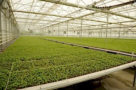 8 umutbileti SİSTEMLERİ