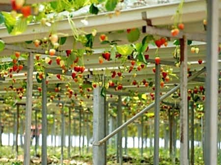 10 umutbileti SİSTEMLERİ